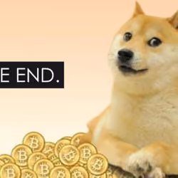 THE END