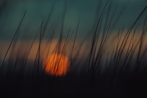 Item #54782985974607347148720532699414835129345073352407786523574901522026503077889 Media