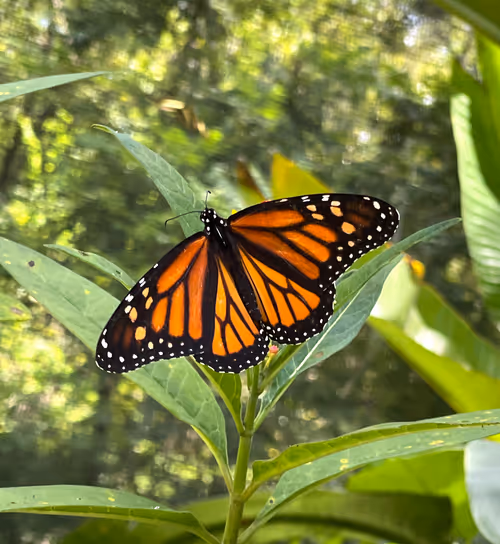 Item #60286361363657250857601775030637471218171117852543341295073304064628543717377 Media