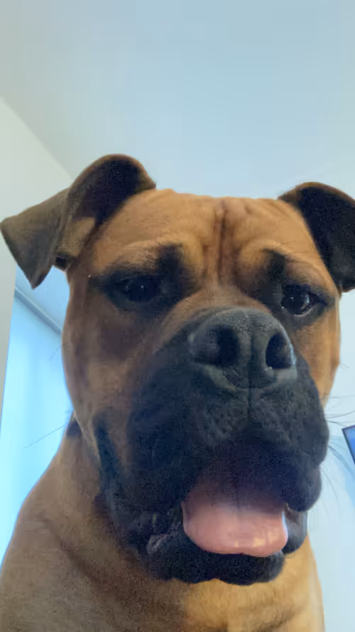 Item #39607713736222948399749264934412981404452828132482058885584524927996209922049 Media