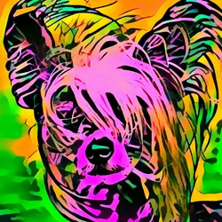 50830097462543580601473563981388698009005024090223633461481089600735414321153