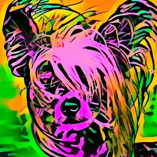 Item #50830097462543580601473563981388698009005024090223633461481089600735414321153 Media