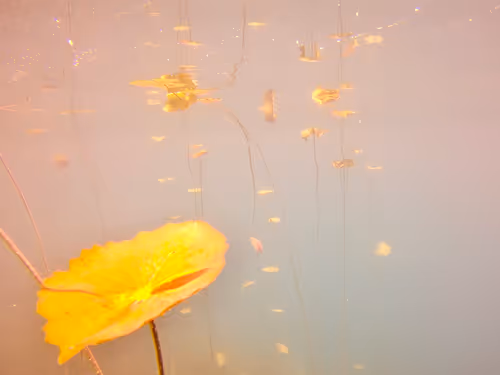 Item #115430421716330114127925714386191036467996783471008022249532804611123466731521 Media