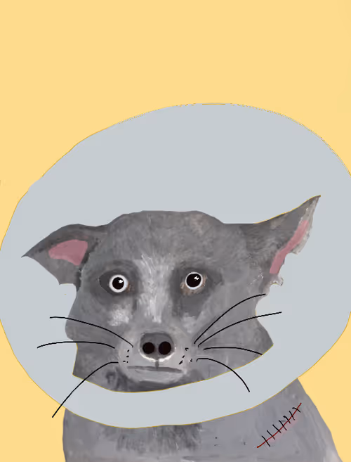 Item #8190719571610145789568542506567364700647027859008357845740194946455793827841 Media