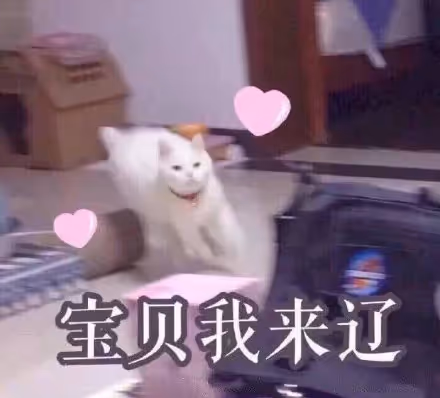 qqq77
