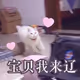 qqq77