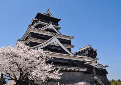 Item #20204709267348757771630976275422763680184380417217004683909412379447770742785 Media