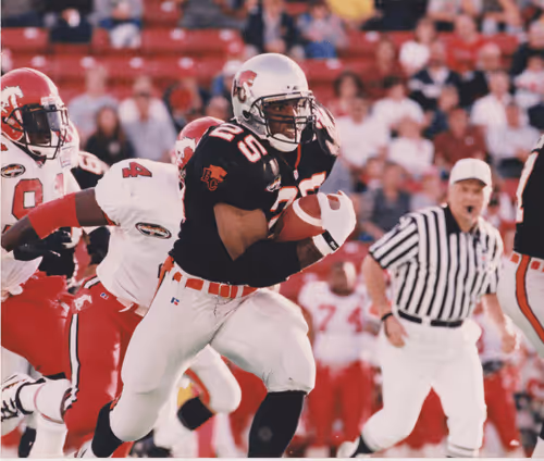 Untitled Collection #139283357