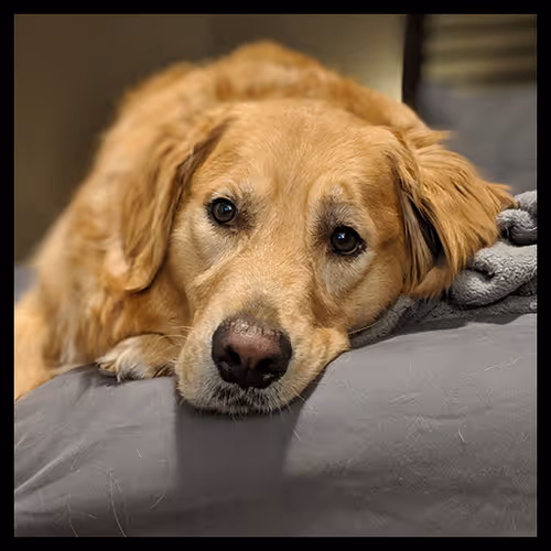 Item #106495276592435919470568425369488009874844936823784433162656833213848361107457 Media