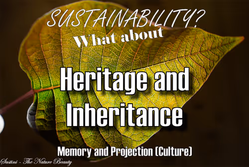 Item #93613396688638017464317025240290185264434684879039933742438229079534549860353 Media