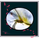 92299409133032144089600655115790649494839037311908385751490453372408812273665