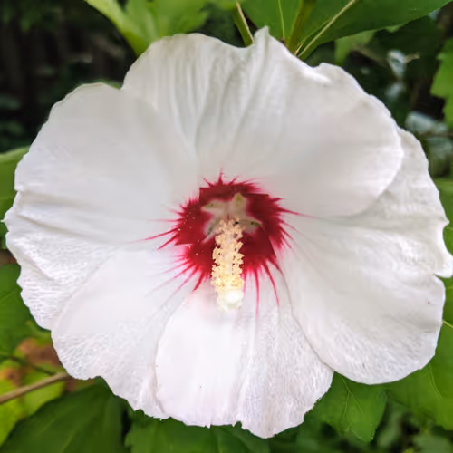 Item #7916760447792313053953040946617417362669267204990802638853984432745873409 Media