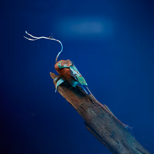 109516060790128716410476023957010007194992899360469946350860993269913685590017