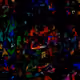79971308870333123882251124414123028047581332546894178073511139704667935604737