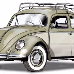 Beetle-Bug Trip