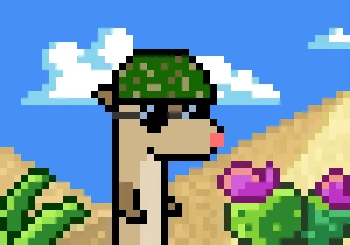 CryptoFerret #08