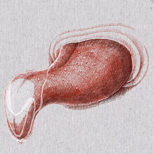 Haningminiorgans