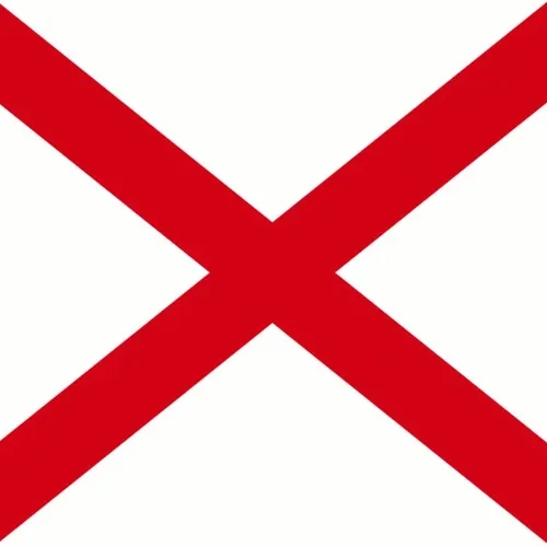 Mad Flag #1