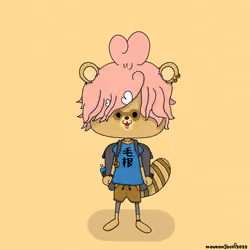 moukon collection animals"Raccoon"