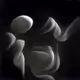 4775474353870879789353939529811064550957717181250402079322103069204052705281