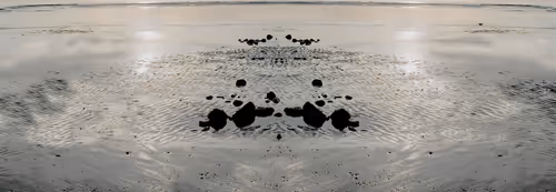 Item #98335621385429695798980580544205857784635028071834314696671891934294789062657 Media