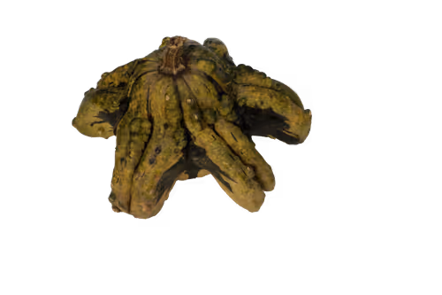 Item #35733408950682889513496686103591328439267245450055177033221291805430207479809 Media