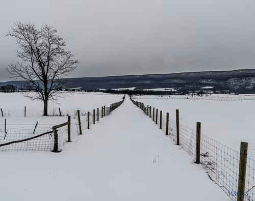 Item #53066580447893182690859255571300366451776015640198026771655436623718626885633 Media