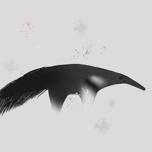 Item #69138463628055130752926986854805628699680031496795916797807466086460884516865 Media