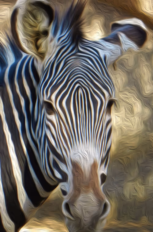 Item #95619151568614802974454947629602672965769746893472874508208249381304146067457 Media