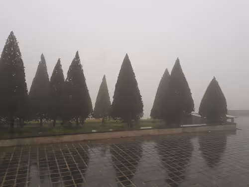 It's foggy