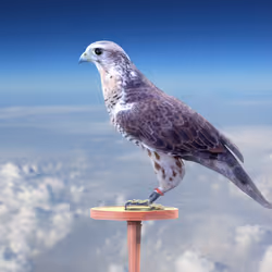 5362693153686757663037229957776630052012240176014263673100968350899712819201