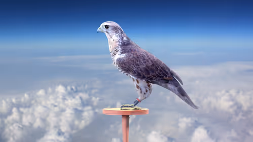 Item #5362693153686757663037229957776630052012240176014263673100968350899712819201 Media