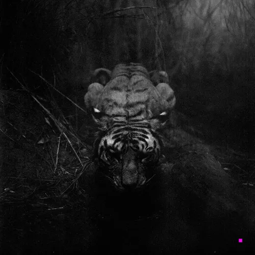 Item #51427486011039718100506623562362624271067022205358126424560206884134428082177 Media