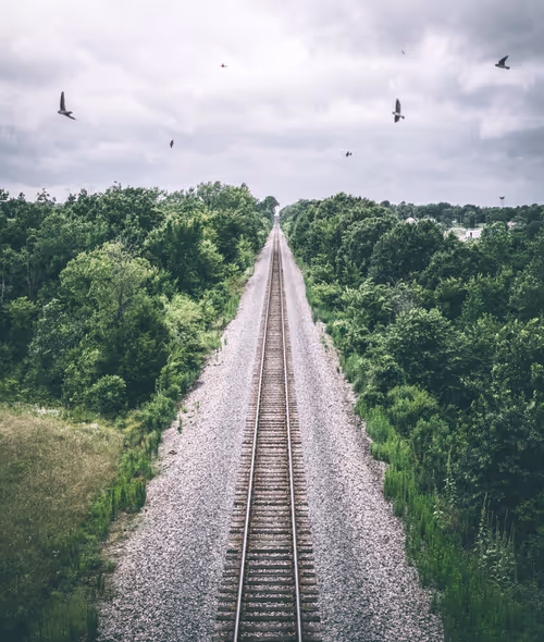 Item #69017446822111679045045995670166594693570264326858051534012552085265142775809 Media