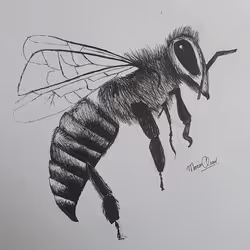 95833954535133562072786107475819470551116640202638618101149855654617720815626