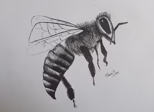 Item #95833954535133562072786107475819470551116640202638618101149855654617720815626 Media