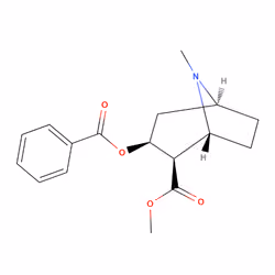 Cocaine (C17H21NO4)