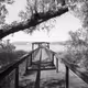 84706522057878031651477089510668475249408659413166180622645554787580479799297