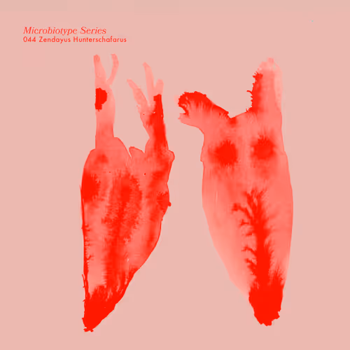 Item #20537471166803336483697920459392139182541277411208615206121837266884855070721 Media