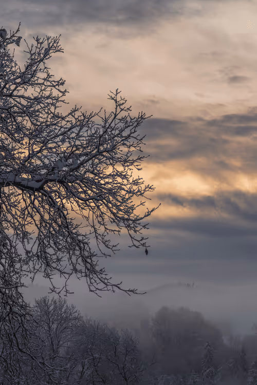 Item #82038507178112004707132471695972498506825775528903589266831690704058622935041 Media