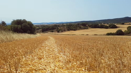 Item #114510891750785963571823232804805888525894639092230678926602407087820446367745 Media