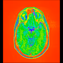 64162533542198579898252916190583583845604629893829087458582976330732692045825