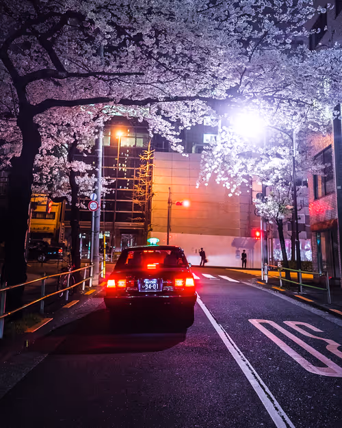 Item #54932601403696324366620882500937899754609465026993680203727088576038428475393 Media