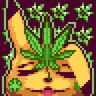 Pikachu Kush