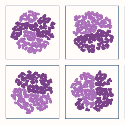 t-SNE #47