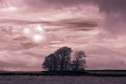 Item #105424874580272350249353180101820695324338341917620358577696675037724377350145 Media