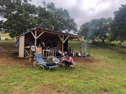 Item #111384347419130010131898734196272882001680551158239169533315207315267365371905 Media