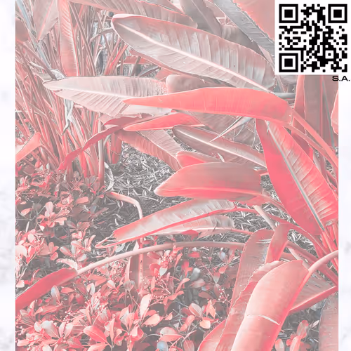 61089433673675855013240100592429788426200334601701735580530433827973422383105