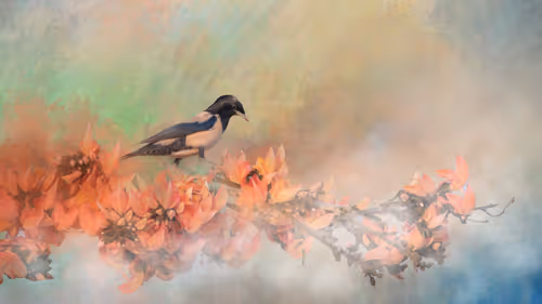 Item #20879904977050231781978559907445915739532146362246903749837269854534752010241 Media