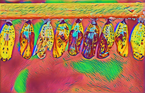 Item #75164984898551115248887010361709320867309151549896276985250493158221435371521 Media